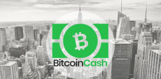 Zoom sur la crypto-monnaie Bitcoin cash issue du fork du Bitcoin.