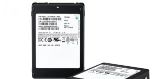 SSD Samsung PM1643 30To