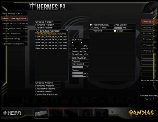 Test Gamdias Hermes P3 RGB