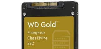 WD SSD Gold 7,68 To