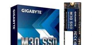 Boîte SSD GIGABYTE M30 1 To