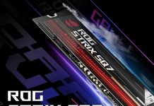 ASUS ROG Strix SQ7 : un premier SSD Nvme chez ASUS !