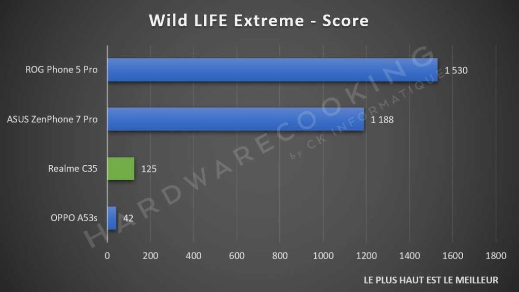 Test Realme C35 Wild Life Extreme